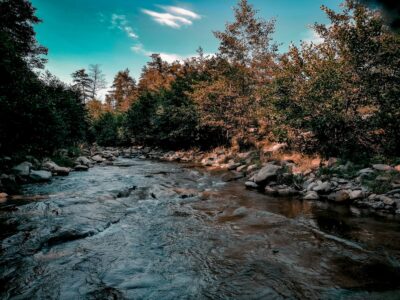Olteț Cazare Baia de Fier Olteț Cazare Baia de Fier